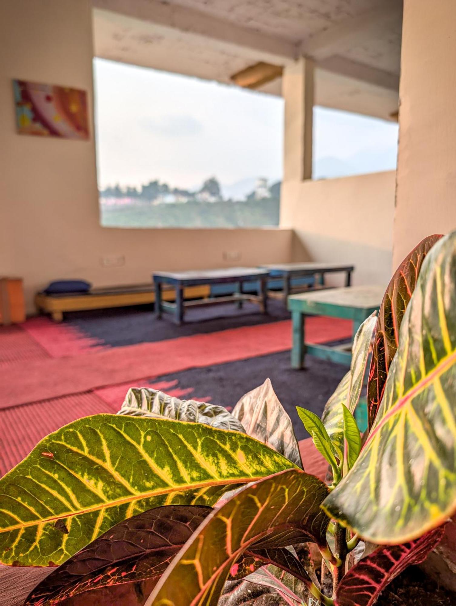 Hobo Hostel 达兰萨拉 外观 照片
